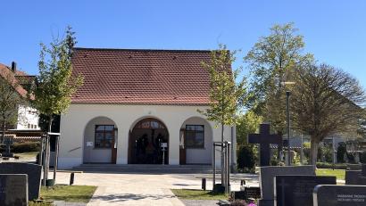 Bild: mma
Zwei Ginkgobäume zieren den Vorplatz der erneuerungsbedürftigen Leichenhalle. Weitere sechs sollen folgen.