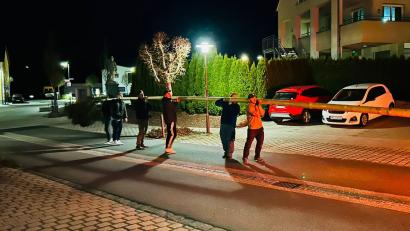 Bild: Laura Roth
Eine Auswahl der Festburschen machten sich auf zu den Imkern und schleppten den Maibaum in ein sicheres Versteck.