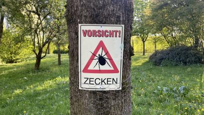 Bild: Paulina Schmidt
Ein Schild warnt am Flutkanal in Weiden vor Zecken.