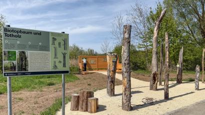 Bild: Petra Hartl
Totes Holz als Lebensraum für Tiere und Pflanzen. Der Totholzgarten aus Furth im Wald ist jetzt nach Amberg ins LGS-Gelände umgezogen.