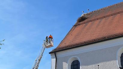 Bild: bl
Mit der Drehleiter versucht die Feuerwehr zu retten, was noch zu retten ist. Inzwischen ist das Nest auf der Pfreimder Stadtpfarrkirche bis zum Schneefanggitter abgerutscht.