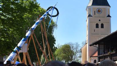 Bild: Karl-Josef Hildenbrand/dpa
Im vergangenen Jahr bekam Taufkirchen bei München einen neuen Maibaum. (Archivbild)