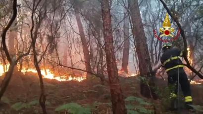 Bild: -/Vigili del Fuoco/dpa
Wegen des Waldbrands mussten mehr als 3.500 Menschen ihre Häuser verlassen.