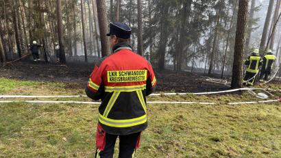 Bild: sbö
Alles im Blick: Die Einsatzkräfte bei den Nachlöscharbeiten in dem Waldstück.