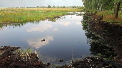 Bild: picture alliance / dpa
Ein intaktes Moor bindet klimaschädlichen Kohlenstoff und schützt somit das Klima. (Archivbild)