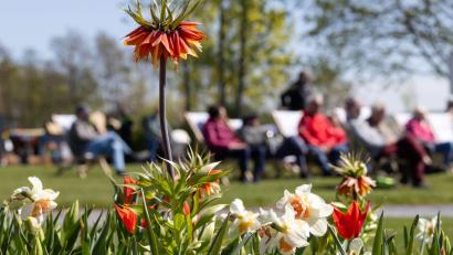 Bild: Michael Reichel/dpa
Zwischen Sonne und Schauern zeigt sich der Frühling wechselhaft. (Archivbild)