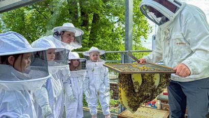 Bild: Stephan Huber
Kindergartenleiterin Linda Hirsch (links hinten) ist genauso fasziniert wie ihre Schützlinge, als Alexander Lotter die Bienenwaben erklärt.