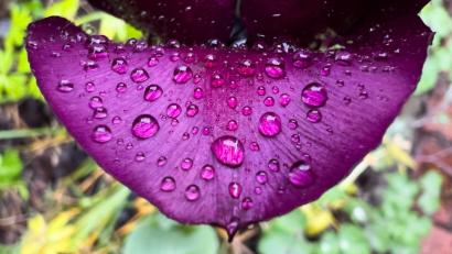 Bild: Julian Stratenschulte/dpa
Wetterumschwung: Es wird regnerisch