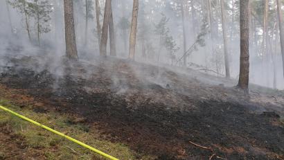 Bild: ga
Das Feuer breitete sich auf einer Hanglage in einem Waldgebiet zwischen Schwarzach und Altendorf aus.