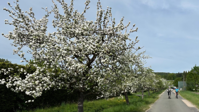 Bild: Reinhold Kumeth, OGV Pfreimd e.V.
Der Obst- und Gartenbauverein Pfreimd e. V. plant im Rahmen des Projekts „Regionale Wertschöpfung und Umweltbildung im Einklang“ die Umstrukturierung seiner Anlage.