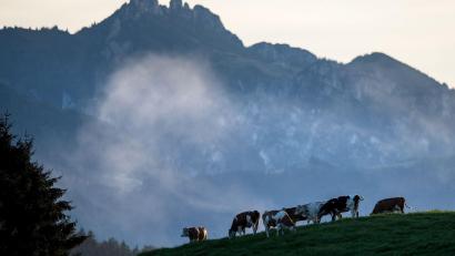 Bild: picture alliance / dpa
Die Kinder verliefen sich an der Hochplatte. (Symbolbild)