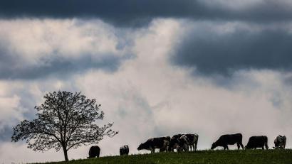 Bild: Oliver Berg/dpa
Zwischen dem Alpenrand und der Lausitz werden laut DWD am Montag teils starke Gewitter erwartet. (Archivbild)