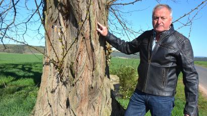 Bild: jr
Baumsachverständiger Edgar Wenisch will die besondere Geschichte von Bäumen in der Region erfahren und diese der Nachwelt erhalten. "Jeder Baum kann seine eigene persönliche Geschichte erzählten", ist sich Wenisch sicher.