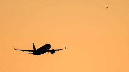 Bild: Jan Woitas/dpa
Das Paar soll sich auf dem Flug zwischen Panama und Argentinien kennengelernt haben. (Symbolbild)