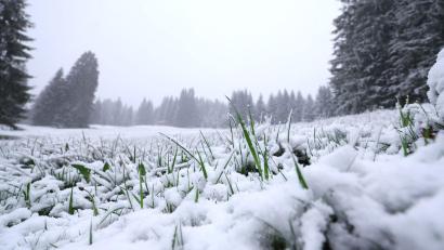 Bild: Karl-Josef Hildenbrand/dpa
In höheren Lagen ist noch einmal Neuschnee gefallen. Und es bleibt weiter kühl.