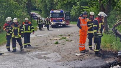 Bild: -/Kreisbrandinspektion Cham/dpa
Der Kleintransporter brannte vollständig aus.