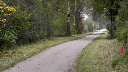 Symbolbild: Petra Hartl
Dieser idyllische Radweg führt ins Vilstal. Auf Höhe der Ortschaft Wolfsbach hatte es im Juli 2025 eine Schlägerei gegeben, die mittlerweile vor dem Landgericht verhandelt wurde. Zwei der Angeklagten haben gegen das Urteil Revision eingelegt.