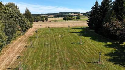 Archivbild: Wolfgang Erhard
Die neu gepflanzte Streuobstwiese am Ortsrand von Poppenreuth im Jahr 2025. Der Obst- und Gartenbauverein Poppenreuth hat damit den Wettbewerb „Streuobst – bunt und lebendig“ im Landkreis Tirschenreuth gewonnen.