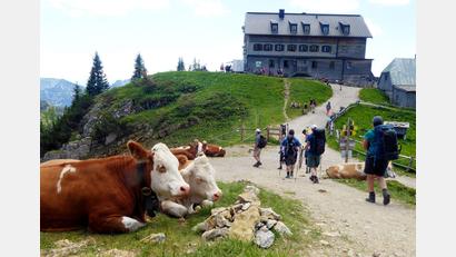 Bild: Angelika Warmuth/dpa
Das Rotwandhaus ist ein beliebtes Wanderziel. (Archivbild)