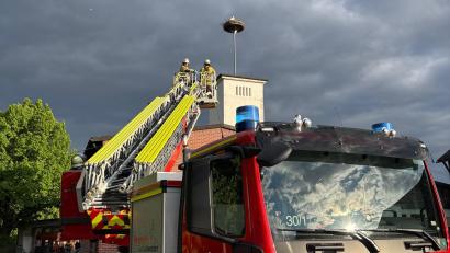 Bild: Feuerwehr Schwarzenfeld/Christian Sander
Die Drehleiter der Schwandorfer Kameraden ist in Schwarzenfeld angerückt, um nach dem Storchenküken zu sehen, das aus dem Nest gefallen ist. Der Vogel kann aber nur tot geborgen werden.