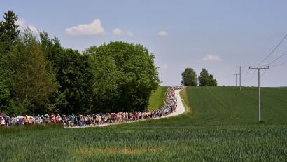 Bild: Bernhard Meiler
Am Donnerstag, 21. Mai, machen sich wieder die Pilger von Regensburg aus nach Altötting auf den Weg. Tausende von Menschen werden sich auch in diesem Jahr auf die 111 Kilometer lange Strecke machen.
