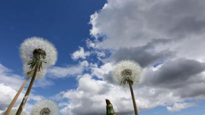 Bild: Thomas Warnack/dpa
Am Dienstag erwartet Bayern vielerorts ein Sonne-Wolken-Mix. (Symbolbild)