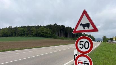 Symbolbild: Kai Gohlke
Mehrere Schilder warnen die Verkehrsteilnehmer auf der Bundesstraße B299 zwischen Erbendorf und Pressath vor der Gefahr durch entlaufene Jungbullen. Warnschilder stehen außerdem an der Staatsstraße 2665 zwischen Pressath und Kemnath.