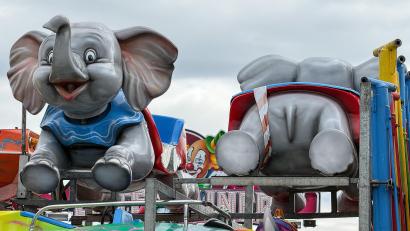 Bild: Stephan Huber
Dumbo, der Elefant, ist schon eingeflogen.Bald heben so manche Dultbesucher ab, wenn sie in die Fahrgeschäfte steigen.