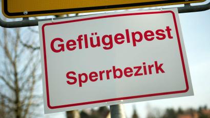 Symbolbild: Arno Burgi/dpa
Entwarnung: Solche oder ähnliche Schilder können jetzt erst einmal weg, die Sperrmaßnahmen wegen der Geflügelpest im Raum Oberviechtach sind aufgehoben.