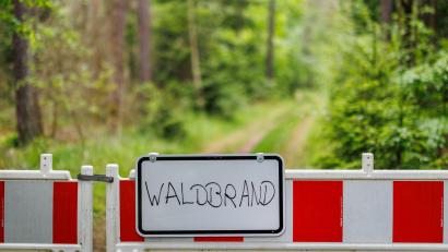 Bild: Daniel Karmann/dpa
Die Waldbrandgefahr in Bayern steigt. (Archivbild)