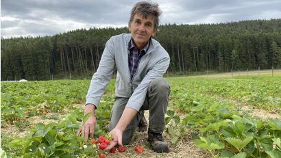 Bild: Völkl
Anton Baumann ist zufrieden: Seine Arbeit auf dem Feld trägt schöne Früchte.