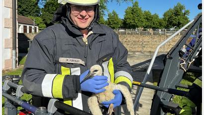 Bild: Feuerwehr Waldsassen
Tierarzt Michael Fortelny, ehrenamtliches Mitglied der Feuerwehr, untersuchte den Jungstorch noch vor Ort. Danach wurde der Vogel in eine Auffangstation nach Tirschenreuth gebracht.