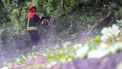 Bild: Pia Bayer/dpa
Die Feuerwehr räumt die bayerischen Straßen nach dem Unwetter wieder frei.