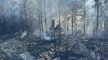 Bild: KBM Christian Demleitner, Kreisbrandinspektion NEW
Ein Waldbrand zwischen Etzgersrieth und Wildstein hat am Freitag, 29. Mai, 10.000 Quadratmeter erfasst. Die Feuerwehr war ab circa 17 Uhr im Einsatz, die Nachlöscharbeiten dauerten bis tief in die Nacht.