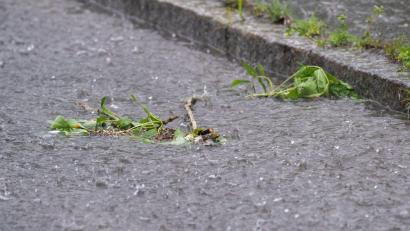Bild: Pia Bayer/dpa
In Bayreuth rückten die Einsatzkräfte wegen des Unwetters mehrfach aus. (Symbolbild)