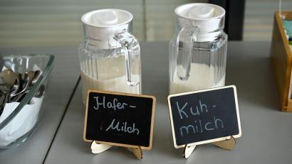 Bild: Jens Kalaene/dpa
Echte „Milch“ gibt es laut Vorschrift nur von Tieren - aber im Alltag werden auch Pflanzendrinks so genannt.