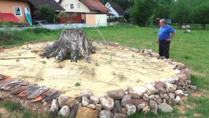 Bild: rha
Auf dem Wiesengrundstück „Wildes Bergkirchl“ ist unter Anleitung der Kreisfachberater ein Sandarium entstanden. Armin Heuberger erklärt, was es damit auf sich hat.