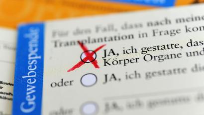 Bild: Marie Reichenbach/dpa
Bisher müssen künftige Organspender der Weiterverwertung ihrer Organe nach dem Tod ausdrücklich zustimmen. (Symbolbild)