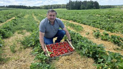 Bild: lnz
Bernhard Schedl vom gleichnamigen Betrieb in Schwarzenbach zeigt auf einem seiner Felder einen Korb voller frisch geernteter Erdbeeren: Der Landwirt hofft nach einem schlechten Vorjahresertrag auf einen guten Saisonverlauf.