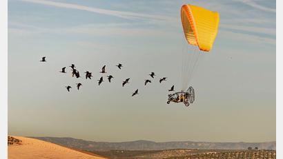 Bild: Gunnar Hartmann/Nature/dpa
Wissenschaftler begleiten Waldrappen bei ihrem Zug nach Spanien.