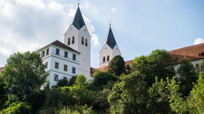 Bild: Lino Mirgeler/dpa
Traditionell wird im Freisinger Dom die Priesterweihe für das Erzbistum München-Freising gefeiert. (Symbolbild)
