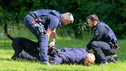 Bild: mfh
Realistische Einsatzübung: Der Hund kannte kein Pardon und stellte den Täter mit rasender Geschwindigkeit.