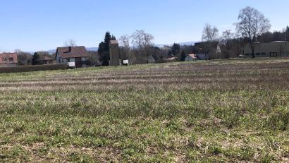 Archivbild: wro
Das Gewerbegebiet "Gütterner Straße" in Fuchsmühl war Gegenstand der Marktratssitzung im Juni. Aus diesem derzeit noch freien Feld wird eine Gewerbefläche.