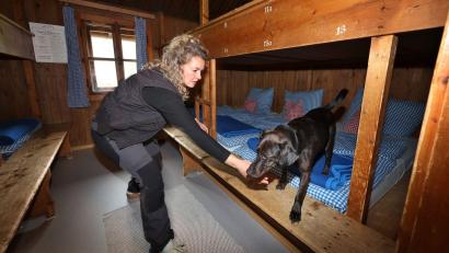 Bild: Karl-Josef Hildenbrand/dpa
Hund Linus und seine Hundeführerin Laura Pannasch auf der Suche nach der Wanze.
