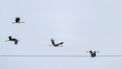Bild: Pia Bayer/dpa
Das Wetter in Bayern stabilisiert sich.