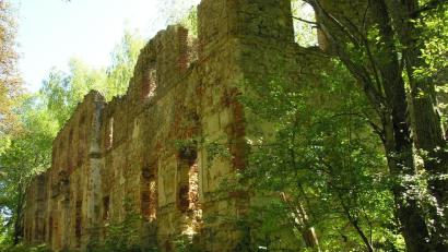 Bild: Paul Böhm
Wie Moglis Zauberschloss: Das wohl dominanteste Gebäude war zum Zeitpunkt der Westerweiterung des Truppenübungsplatzes Hohenfels das um 1730 erbaute Schloss in Lutzmannstein gewesen. Mittlerweile ist es saniert worden.