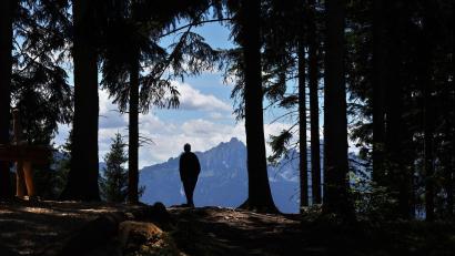 Bild: Karl-Josef Hildenbrand/dpa
In den Allgäuer Alpen will die Polizei in den kommenden Wochen verstärkt Naturschutzkontrollen durchführen. (Symbolbild)