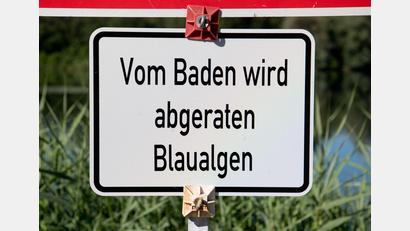Bild: Julian Stratenschulte/dpa
Die bayerischen Gesundheitsämter warnen an mehrere Badeseen vor Blaualgen. (Symbolbild)