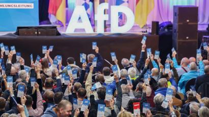 Bild: Daniel Löb/dpa
Die bayerische AfD trifft sich zu einem Parteitag. (Archivbild)