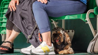 Bild: Friso Gentsch/dpa
Heiß für alle Beteiligten - ein Hund auf der Tribüne sucht Schutz unter dem Sitz.